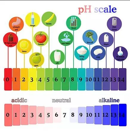 Ph Scale